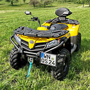 Quad